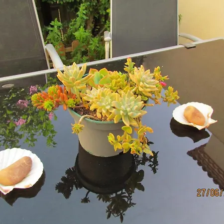 Maisonnette Climatisee Avec Terrasse- Entre Nimes, Montpellier Et Les Plages גלארגו-לו-מונטיו